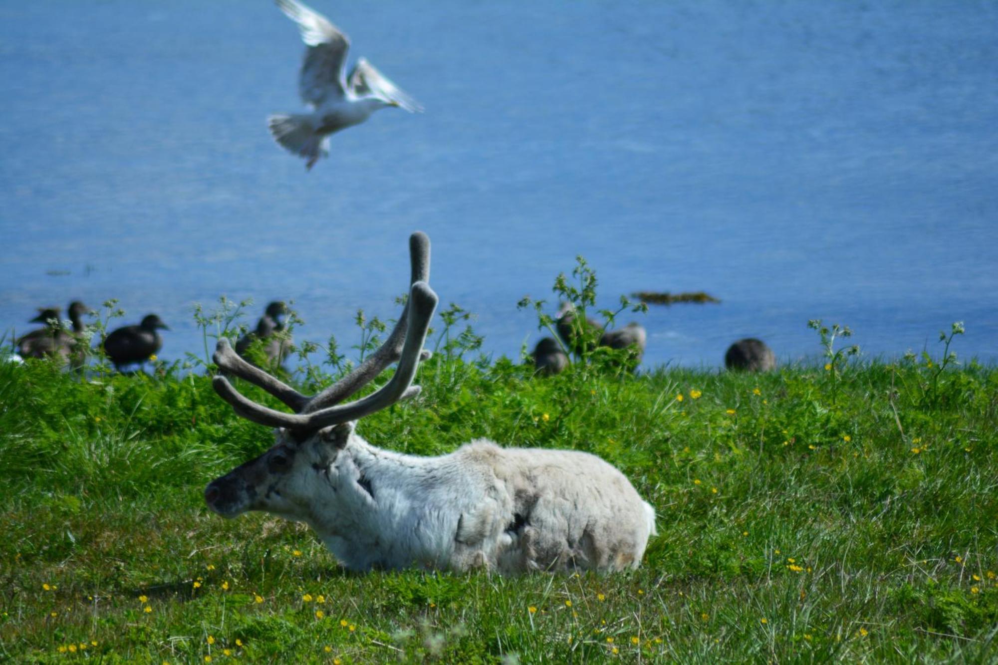 Arctic Hotel Nordkapp Honningsvåg Esterno foto